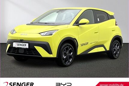 BYD DOLPHIN Gebrauchtwagen