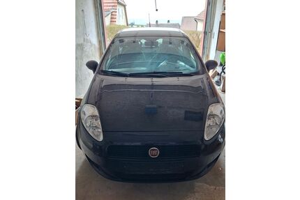 Fiat Punto Gebrauchtwagen
