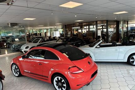 VW Beetle Gebrauchtwagen