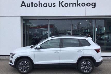 Skoda Karoq Gebrauchtwagen