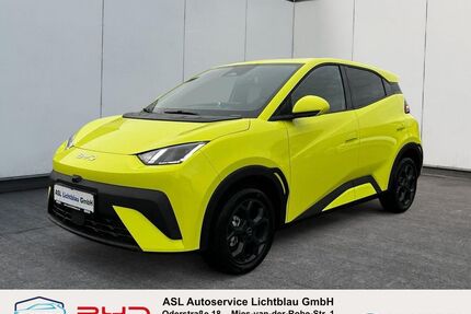 BYD DOLPHIN SURF Gebrauchtwagen