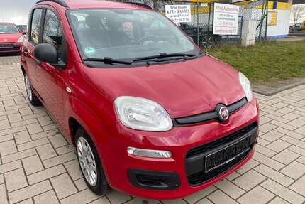Fiat Panda Gebrauchtwagen