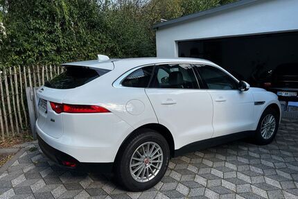 Jaguar F-Pace Gebrauchtwagen