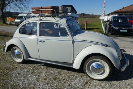VW Käfer Gebrauchtwagen
