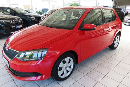 Skoda Fabia Gebrauchtwagen