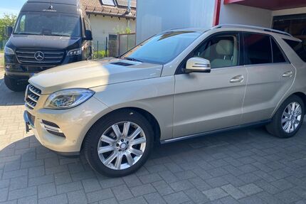 Mercedes-Benz ML 350 Gebrauchtwagen