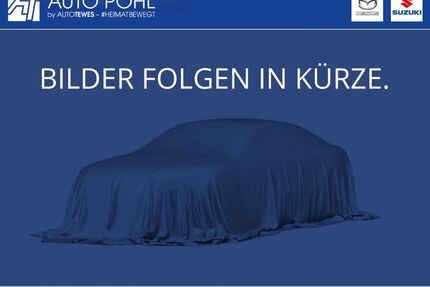 Suzuki Swace Gebrauchtwagen