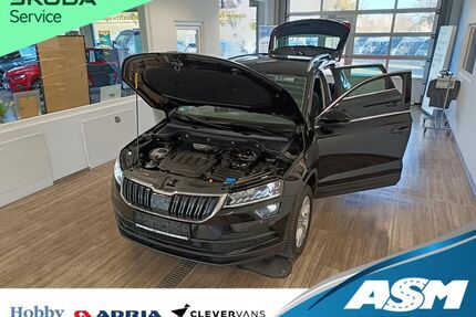 Skoda Karoq Gebrauchtwagen