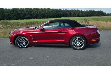 Ford Mustang Gebrauchtwagen