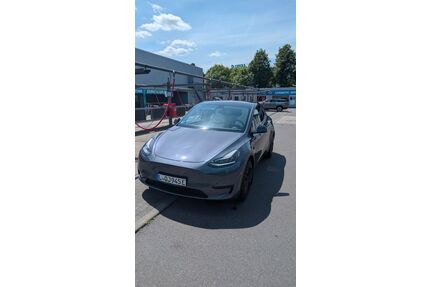 Tesla Model Y Gebrauchtwagen