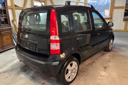 Fiat Panda Gebrauchtwagen
