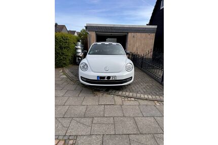 VW Beetle Gebrauchtwagen