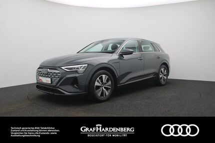 Audi Q8 e-tron Gebrauchtwagen