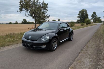VW Beetle Gebrauchtwagen
