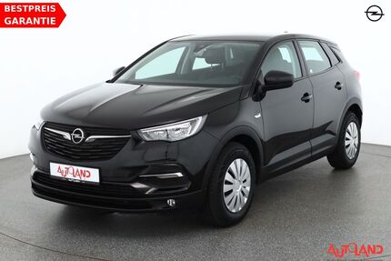 Opel Grandland (X) Gebrauchtwagen