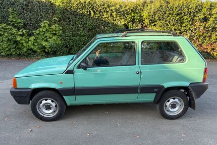 Fiat Panda Gebrauchtwagen