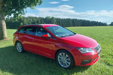 Seat Leon Gebrauchtwagen