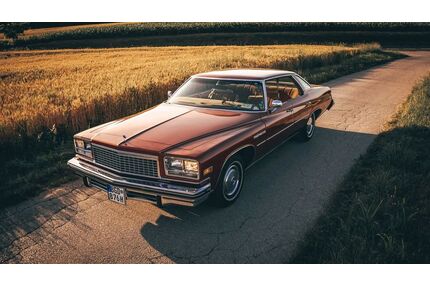 Buick Le Sabre Gebrauchtwagen