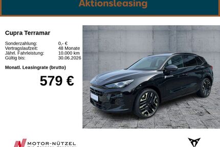 Cupra Terramar Gebrauchtwagen