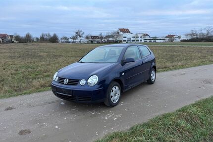 VW Polo Gebrauchtwagen
