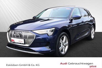 Audi e-tron Gebrauchtwagen