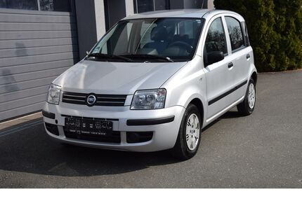 Fiat Panda Gebrauchtwagen