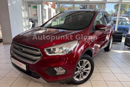 Ford Kuga Gebrauchtwagen