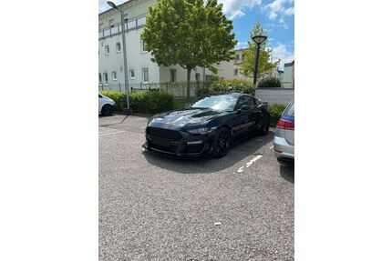 Ford Mustang Gebrauchtwagen