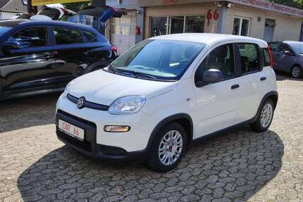 Fiat Panda Gebrauchtwagen