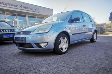 Ford Fiesta Gebrauchtwagen