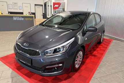 Kia ceed / Ceed Gebrauchtwagen