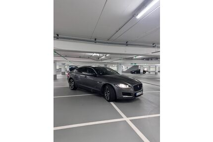 Jaguar XF Gebrauchtwagen