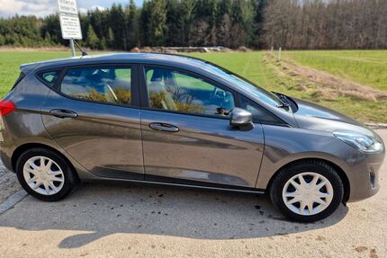 Ford Fiesta Gebrauchtwagen