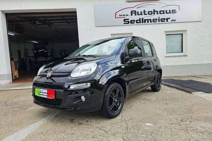 Fiat Panda Gebrauchtwagen