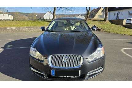 Jaguar XF Gebrauchtwagen