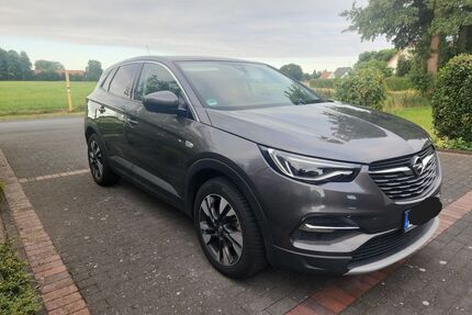 Opel Grandland (X) Gebrauchtwagen