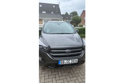 Ford Kuga Gebrauchtwagen