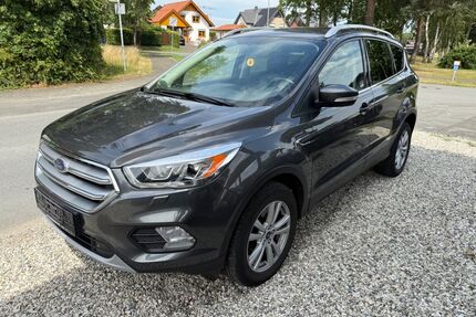Ford Kuga Gebrauchtwagen