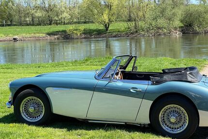 Austin Healey Andere Gebrauchtwagen