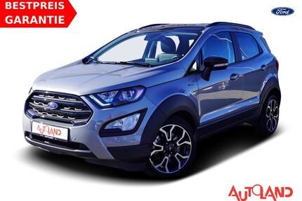Ford EcoSport Gebrauchtwagen