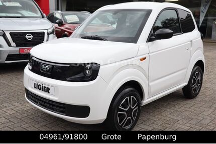 Ligier Andere Gebrauchtwagen