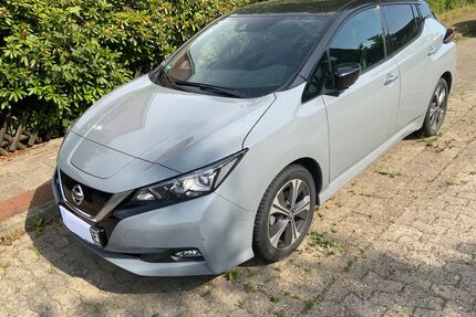 Nissan Leaf Gebrauchtwagen
