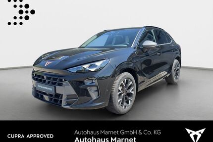 Cupra Terramar Gebrauchtwagen