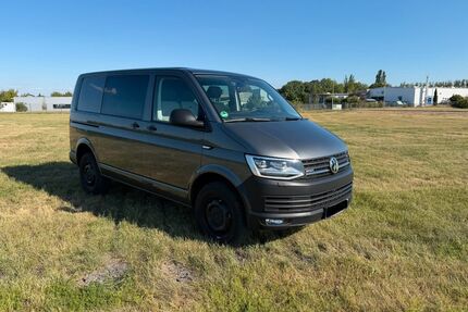 VW T6 Transporter Gebrauchtwagen