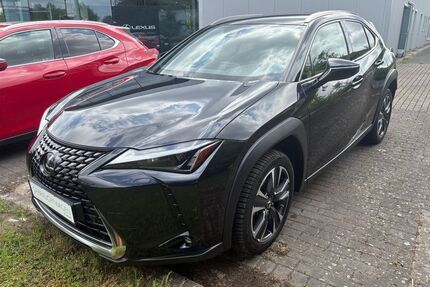 Lexus UX Gebrauchtwagen