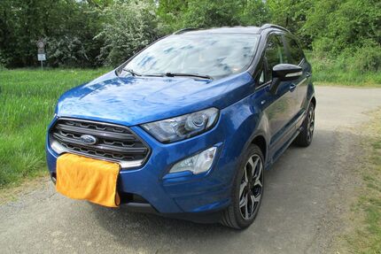 Ford EcoSport Gebrauchtwagen