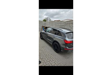 Audi Q5 Gebrauchtwagen