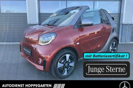 Smart ForTwo Gebrauchtwagen
