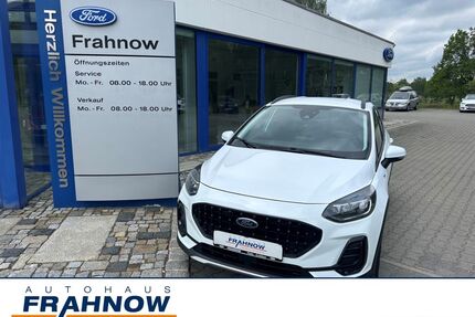 Ford Fiesta Gebrauchtwagen