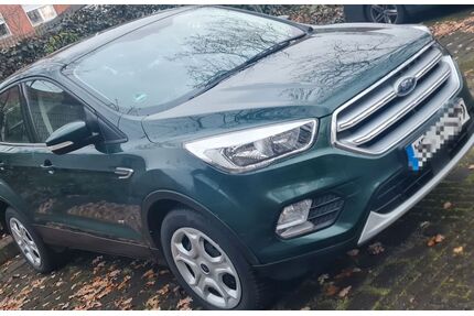 Ford Kuga Gebrauchtwagen